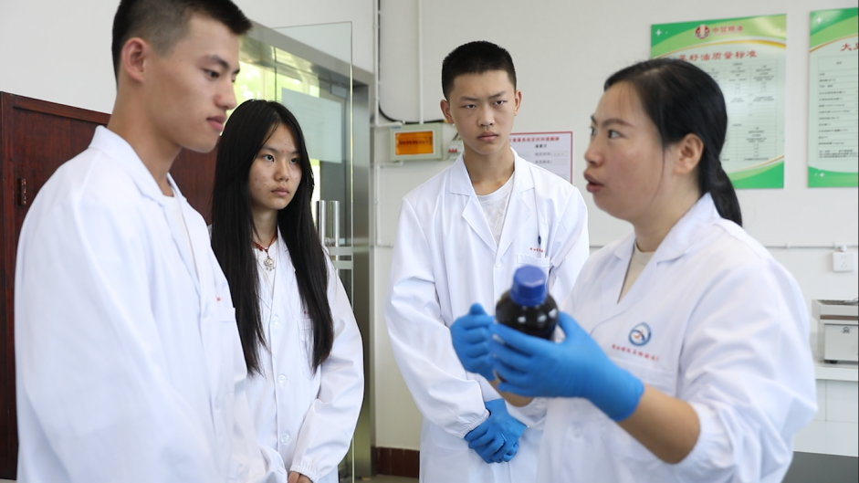 1758708290926025396.png image.png