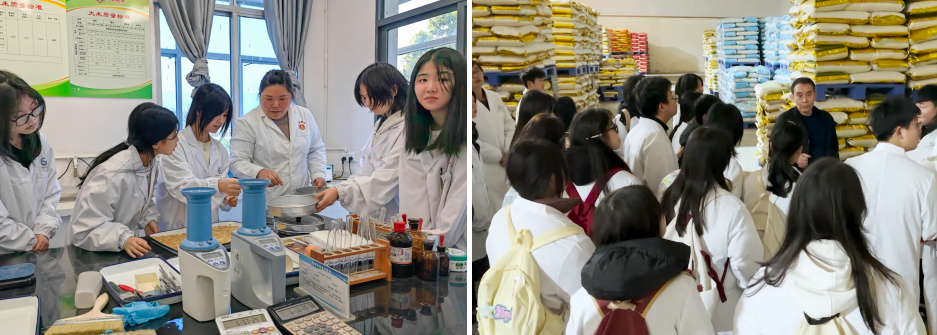 1758761483307043236.png image.png